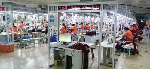 全球經(jīng)濟按下慢放鍵，中國珠寶首飾回收修理服務逆勢顯韌性